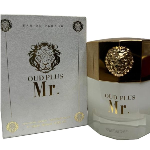 Oud Plus Mr. Perfume for Men 100ml Long Lasting
